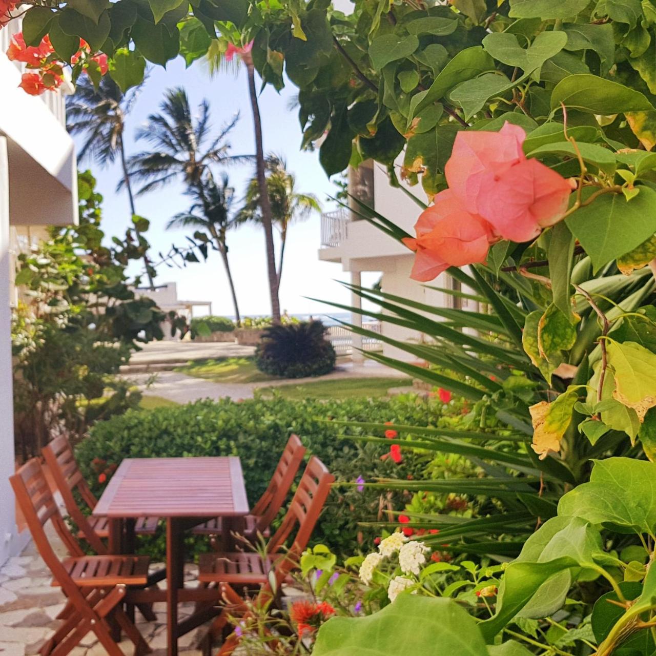 Condo Cabrinha - Direct On Kite Beach Cabarete Exterior photo